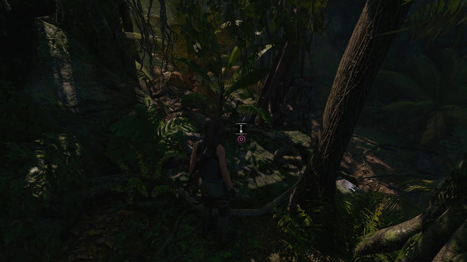 《古墓奇兵暗影》秘魯叢林收藏品在哪 秘魯叢林全地圖收集詳解