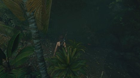 《古墓奇兵暗影》秘魯叢林收藏品在哪 秘魯叢林全地圖收集詳解 《古墓奇兵暗影》秘魯叢林收藏品在哪 秘魯叢林全地圖收集詳解