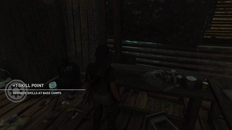 《古墓奇兵暗影》秘魯叢林收藏品在哪 秘魯叢林全地圖收集詳解 《古墓奇兵暗影》秘魯叢林收藏品在哪 秘魯叢林全地圖收集詳解