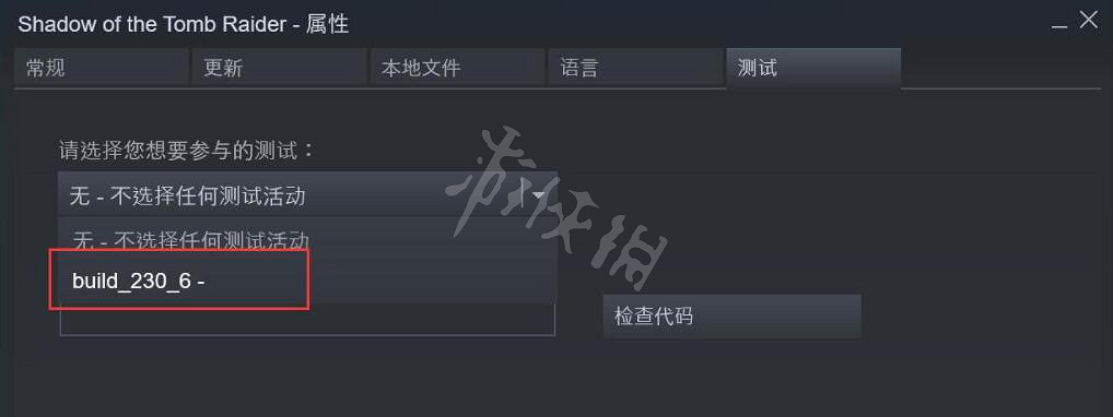 《古墓奇兵暗影》記憶體不足怎麽辦 無法開啟dx12及記憶體不足解決方法 《古墓奇兵暗影》記憶體不足怎麽辦 無法開啟dx12及記憶體不足解決方法