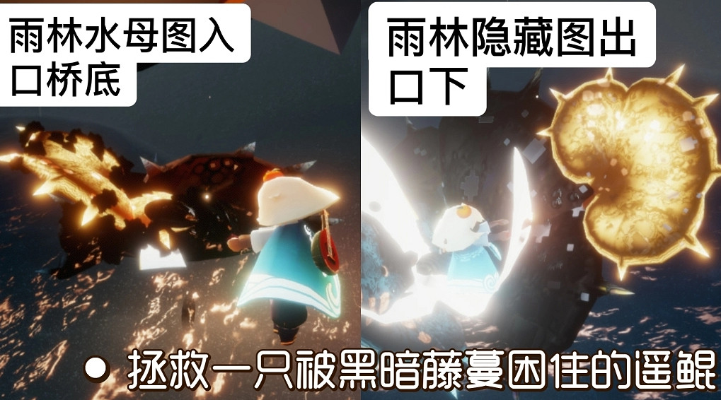 《光遇》11.3任務攻略 11月3日每日任務怎麽做