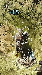 《神諭:原罪2》不死族回血技巧介紹 不死族怎麽無限回血? 《神諭:原罪2》不死族回血技巧介紹 不死族怎麽無限回血?