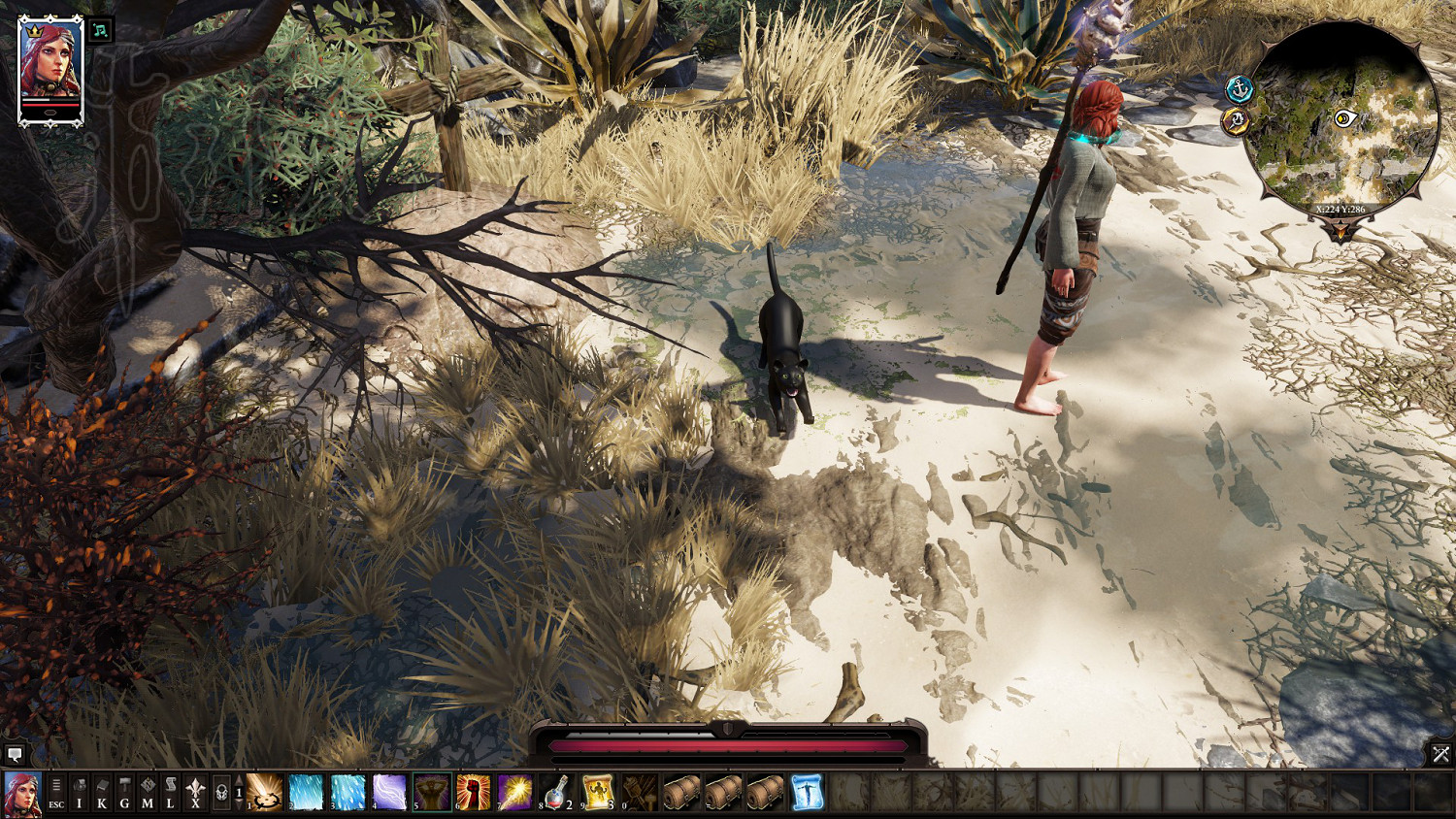 《神諭：原罪2》萌新入門小提示 萌新怎麽上手？