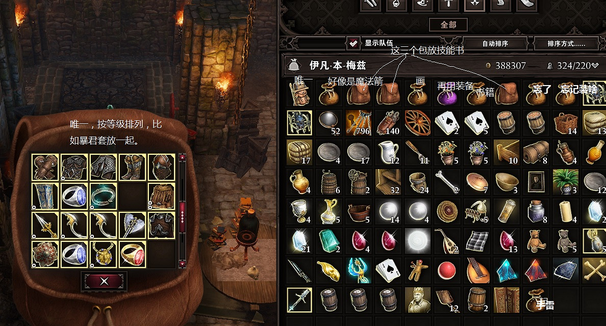 《神諭：原罪2》背包怎麽用？背包整理技巧分享