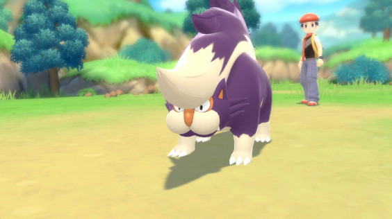 《寶可夢:晶燦鑽石/明亮珍珠》銀河隊成員一覽 《寶可夢:晶燦鑽石/明亮珍珠》銀河隊成員一覽