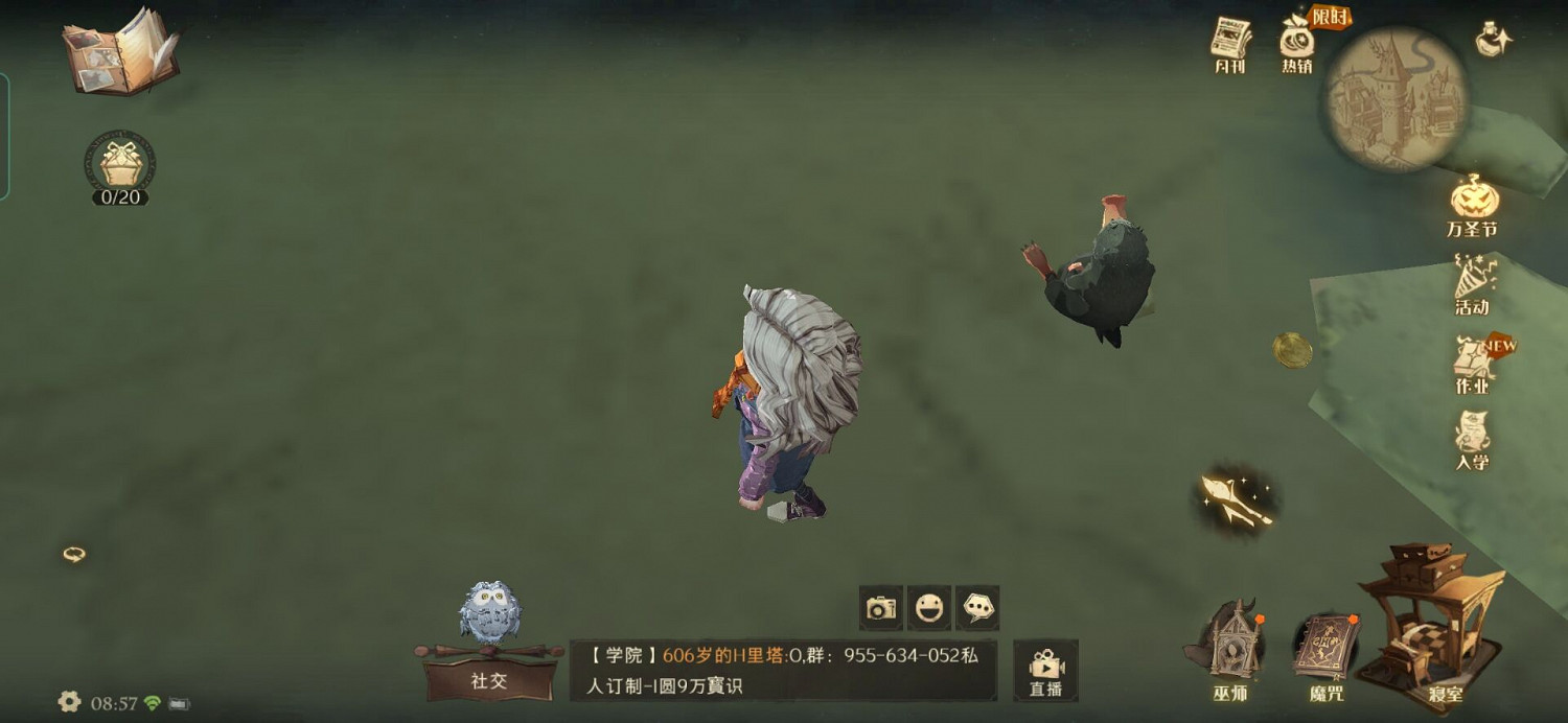 小家夥你找錯地方啦海格小屋附近可不會藏著太多的金幣 哈利波特拼圖尋寶第五期第二天 小家夥你找錯地方啦海格小屋附近可不會藏著太多的金幣 哈利波特拼圖尋寶第五期第二天