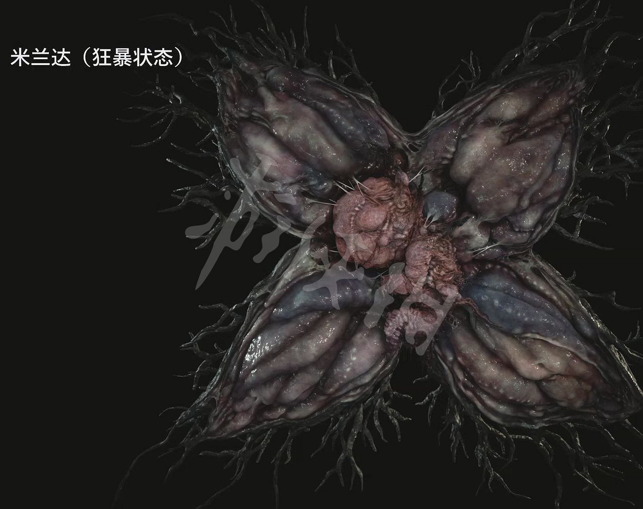 《惡靈古堡8》人物有哪些？全人物與怪物圖鑒一覽