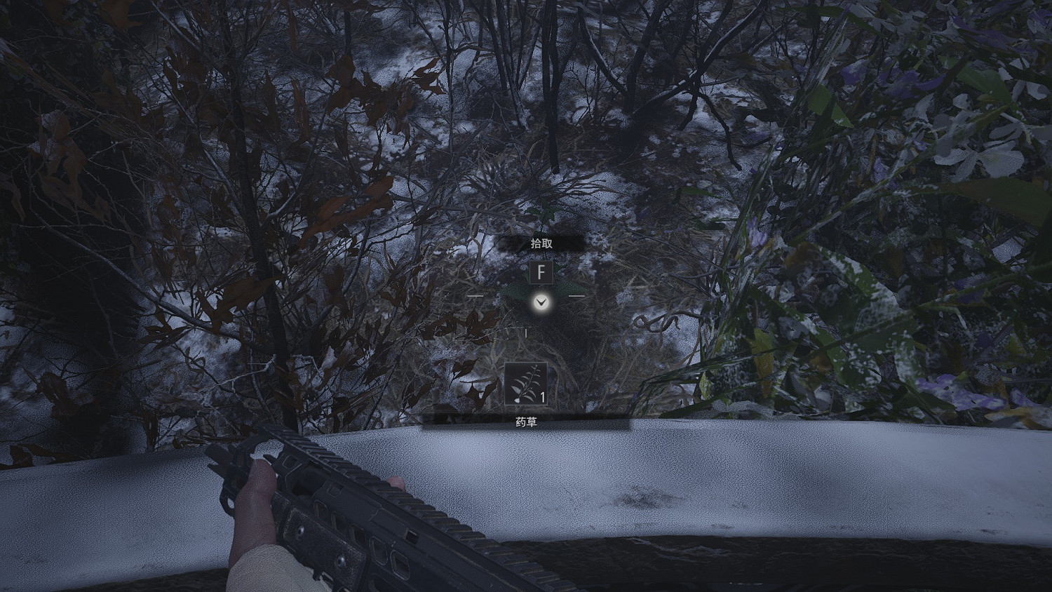 《惡靈古堡8》中庭收集品有哪些?中庭全收集品位置分布一覽 《惡靈古堡8》中庭收集品有哪些?中庭全收集品位置分布一覽