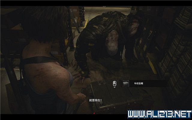 《惡靈古堡3重製版》Nemesis補給箱怎麽獲得 全Nemesis補給箱獲取方法介紹