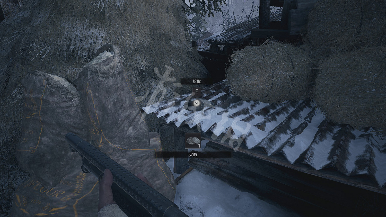 《惡靈古堡8》檔案收集攻略詳解 地圖全藍及技巧心得分享