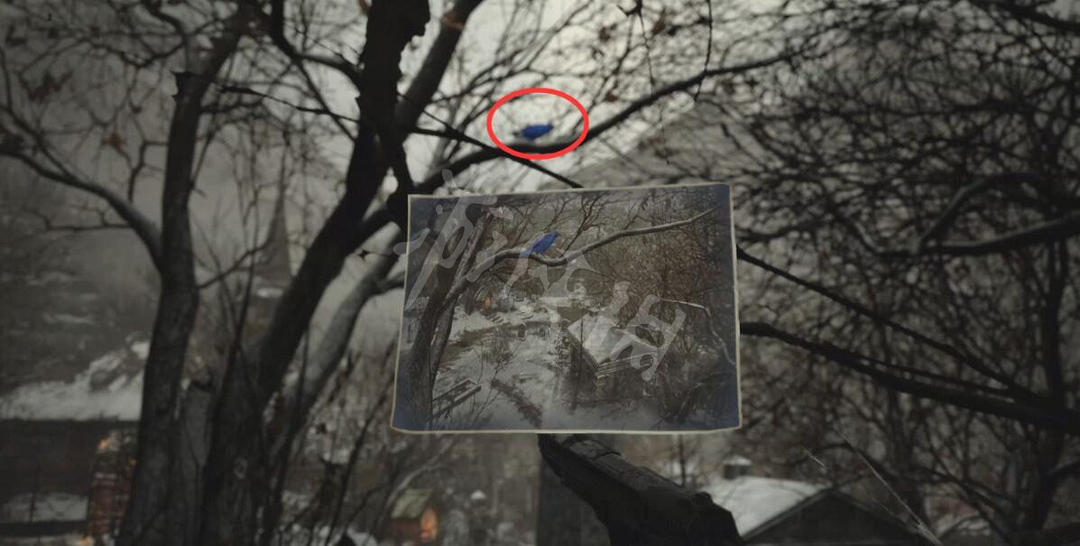 《惡靈古堡8》極品禽肉怎麽獲得?極品禽肉位置分享 《惡靈古堡8》極品禽肉怎麽獲得?極品禽肉位置分享