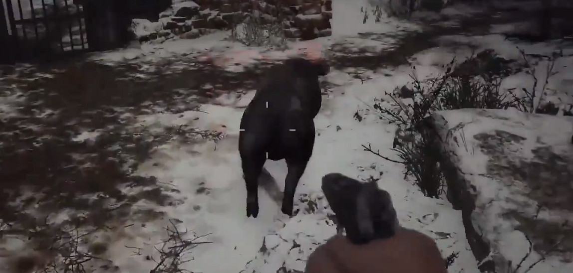 《惡靈古堡8》怎麽狩獵 狩獵玩法詳解