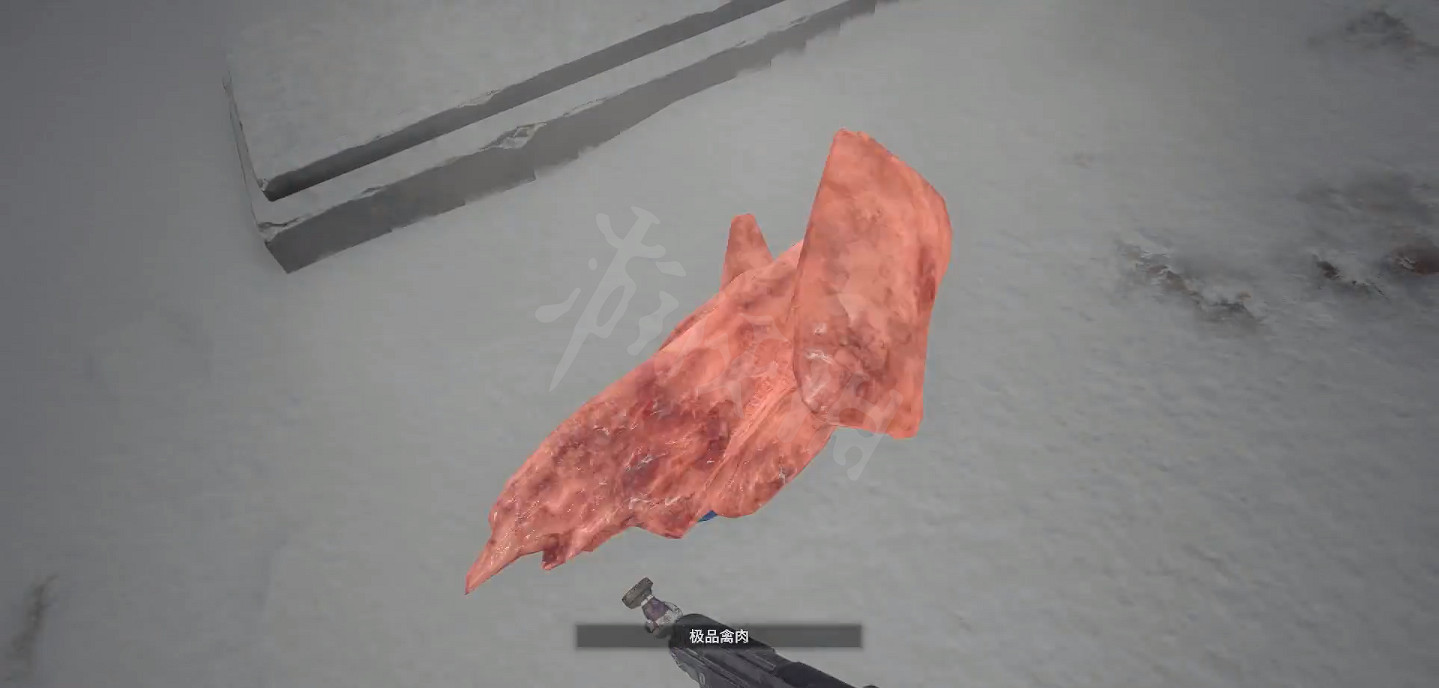 《惡靈古堡8》奇異鳥在哪 特級禽肉獲得方法 《惡靈古堡8》奇異鳥在哪 特級禽肉獲得方法