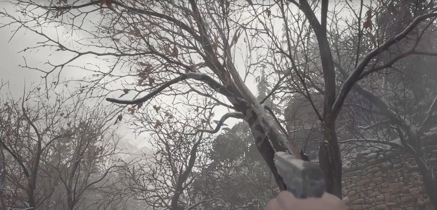 《惡靈古堡8》奇異鳥在哪 特級禽肉獲得方法 《惡靈古堡8》奇異鳥在哪 特級禽肉獲得方法