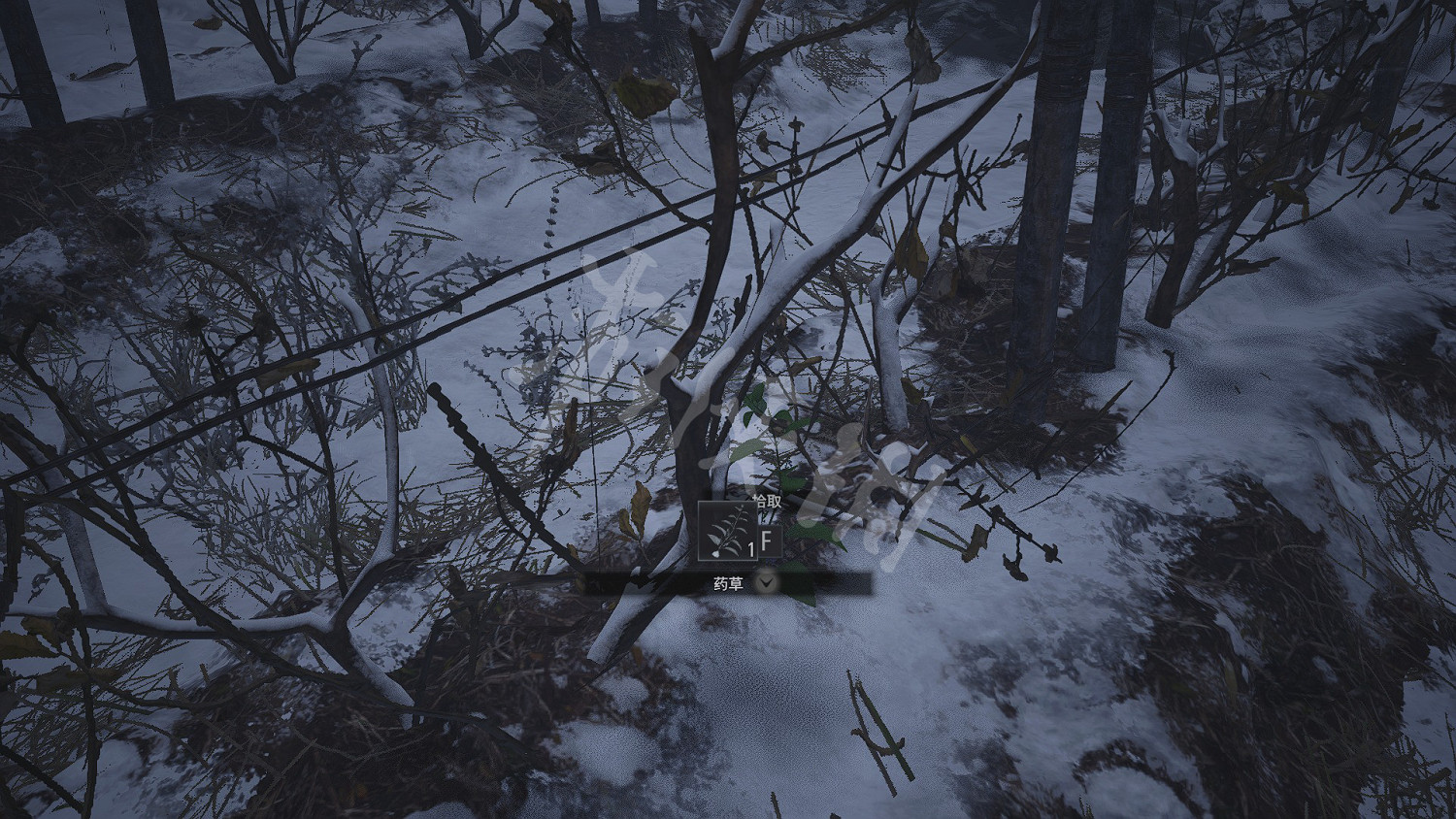 《惡靈古堡8》檔案收集攻略詳解 地圖全藍及技巧心得分享