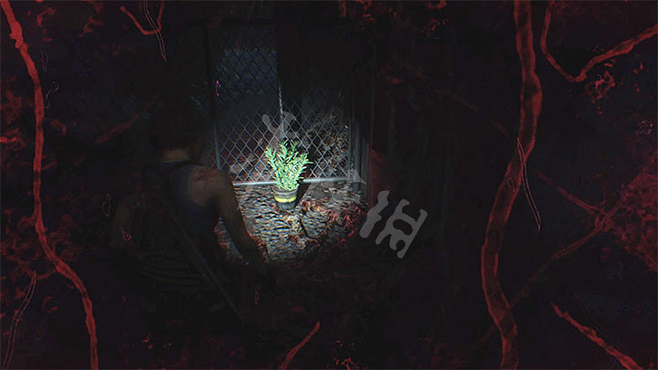 《惡靈古堡3重製版》寄生蟲怎麽吐出來 寄生蟲怎麽解方法教學