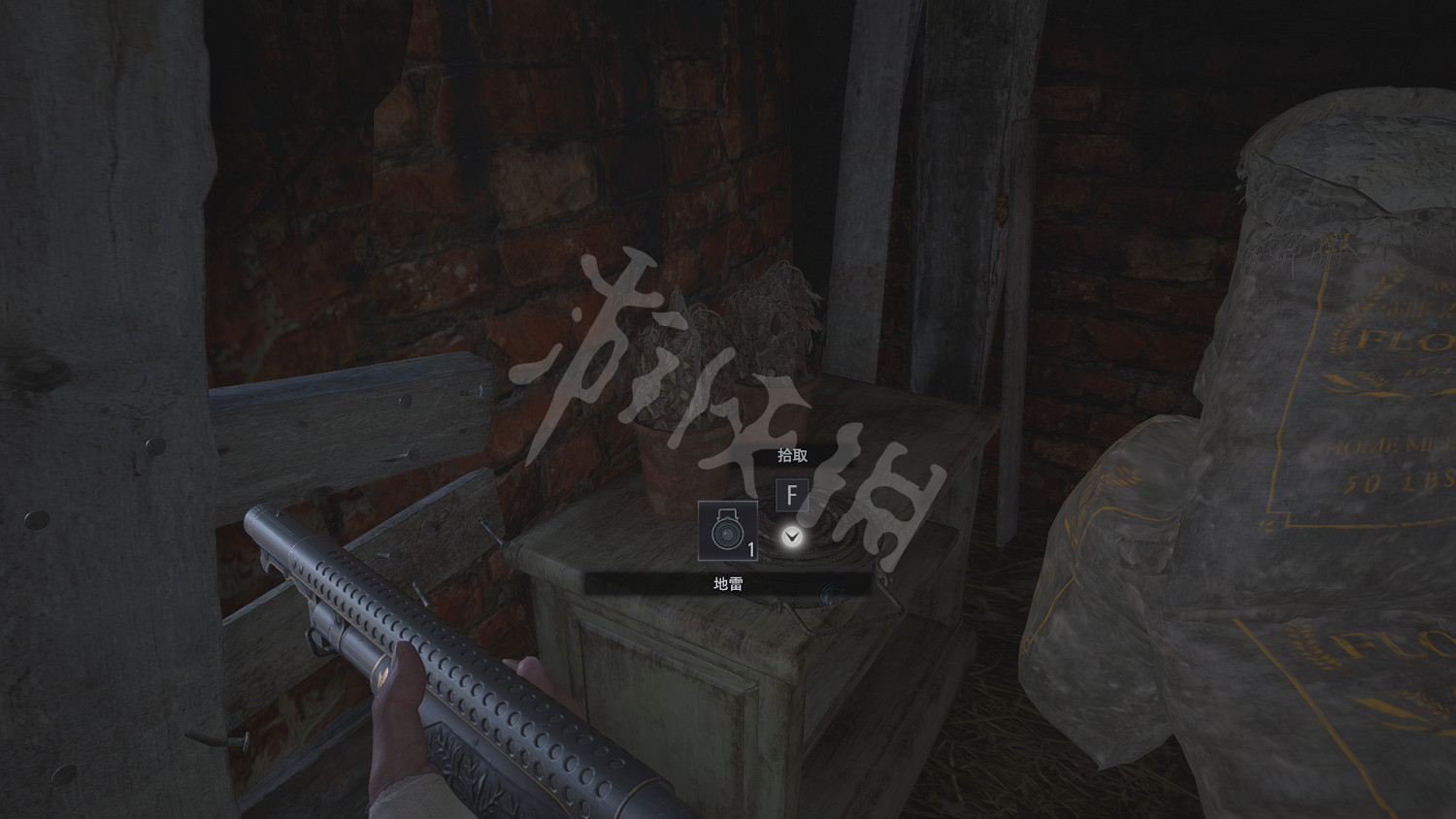 《惡靈古堡8》檔案收集攻略詳解 地圖全藍及技巧心得分享