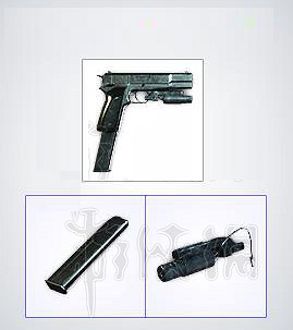 《惡靈古堡2重製版》手槍傷害測試分析 手槍傷害效果怎樣？