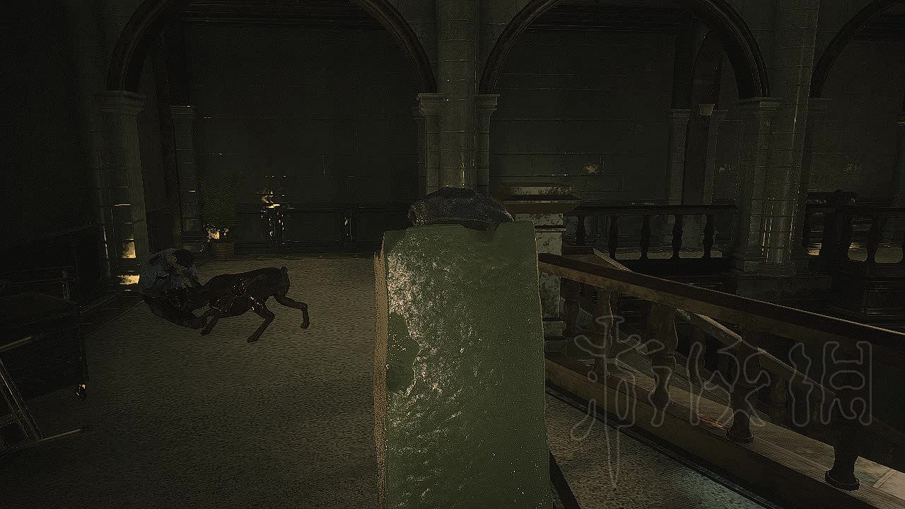 《惡靈古堡2重製版》第四生還者攻略詳解 漢克和豆腐怎麽通關？