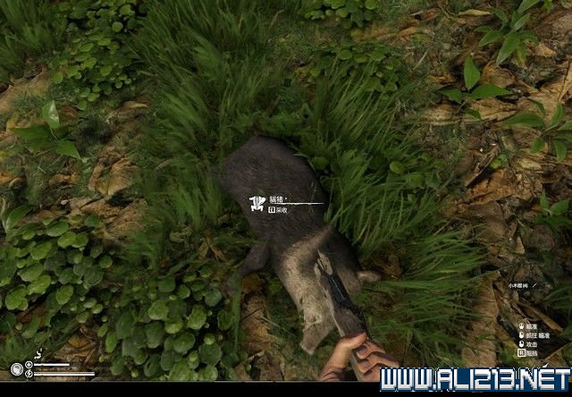 《綠色地獄》新手入門教學圖文詳解 全關卡玩法技巧詳解【完結】 《綠色地獄》新手入門教學圖文詳解 全關卡玩法技巧詳解【完結】