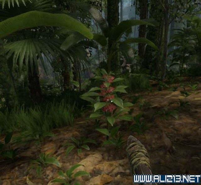 《綠色地獄》新手入門教學圖文詳解 全關卡玩法技巧詳解【完結】 《綠色地獄》新手入門教學圖文詳解 全關卡玩法技巧詳解【完結】