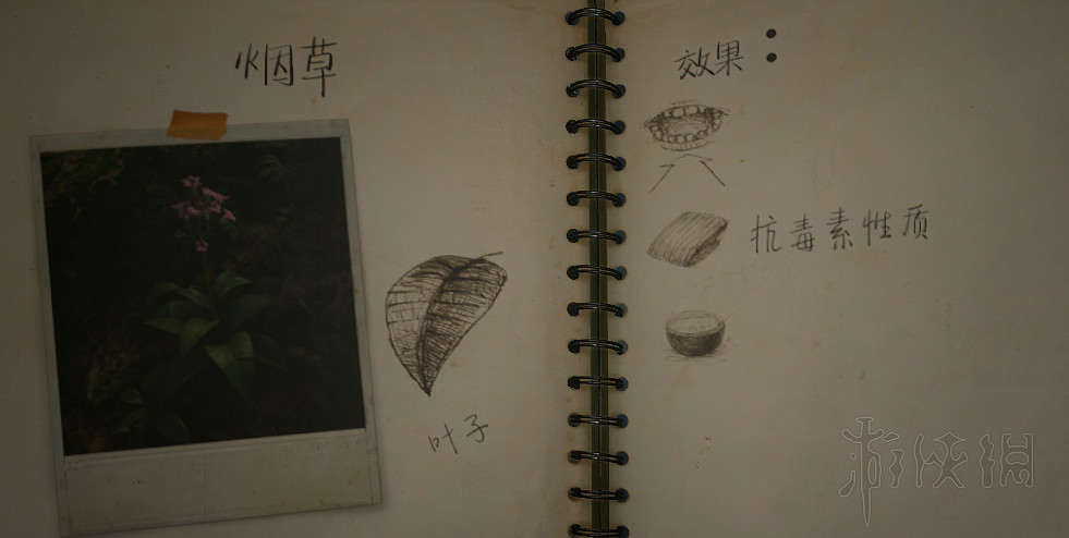 《綠色地獄》陷阱怎麽製作?工具配方及淨水採集等玩法技巧詳解 《綠色地獄》陷阱怎麽製作?工具配方及淨水採集等玩法技巧詳解