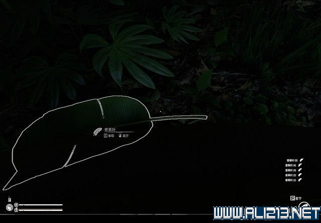 《綠色地獄》新手入門教學圖文詳解 全關卡玩法技巧詳解【完結】 《綠色地獄》新手入門教學圖文詳解 全關卡玩法技巧詳解【完結】