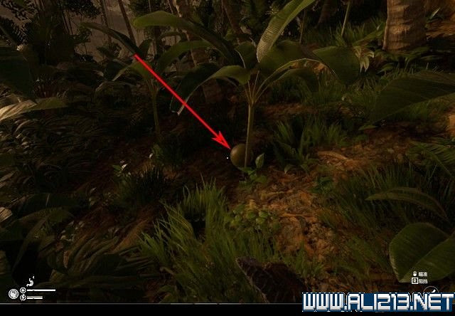 《綠色地獄》新手入門教學圖文詳解 全關卡玩法技巧詳解【完結】 《綠色地獄》新手入門教學圖文詳解 全關卡玩法技巧詳解【完結】