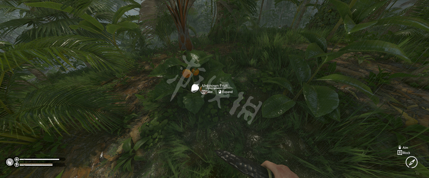 《綠色地獄》椰子怎麽吃 椰子使用方法介紹 《綠色地獄》椰子怎麽吃 椰子使用方法介紹