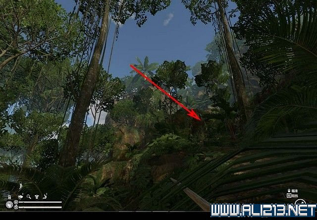 《綠色地獄》新手入門教學圖文詳解 全關卡玩法技巧詳解【完結】 《綠色地獄》新手入門教學圖文詳解 全關卡玩法技巧詳解【完結】