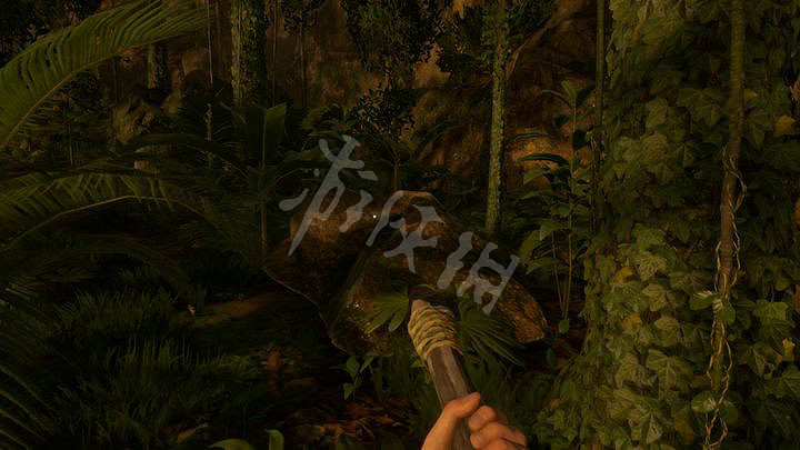 《綠色地獄》營地建在哪裡?綠色地獄營地坐標推薦一覽 《綠色地獄》營地建在哪裡?綠色地獄營地坐標推薦一覽