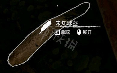 《綠色地獄》木薯怎麽獲得 木薯獲得方法一覽