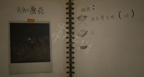 《綠色地獄》寄生蟲怎麽治 寄生蟲治療方法介紹 《綠色地獄》寄生蟲怎麽治 寄生蟲治療方法介紹