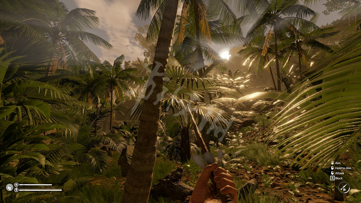 《綠色地獄》新人連線技巧分享 連線模式怎麽上手 《綠色地獄》新人連線技巧分享 連線模式怎麽上手