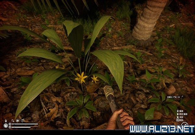 《綠色地獄》新手入門教學圖文詳解 全關卡玩法技巧詳解【完結】 《綠色地獄》新手入門教學圖文詳解 全關卡玩法技巧詳解【完結】