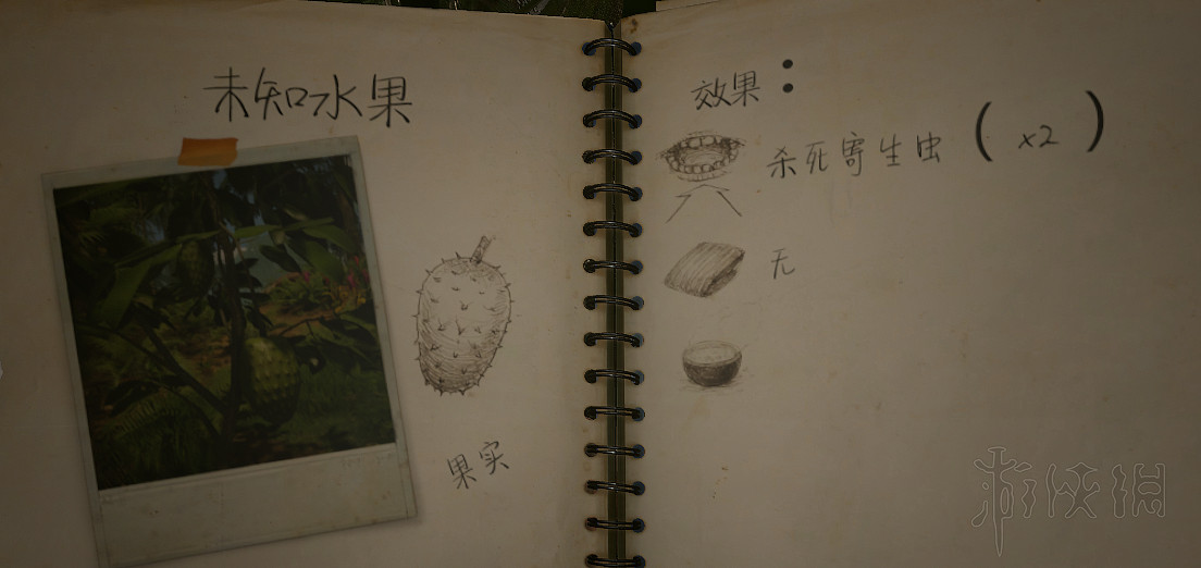 《綠色地獄》陷阱怎麽製作?工具配方及淨水採集等玩法技巧詳解 《綠色地獄》陷阱怎麽製作?工具配方及淨水採集等玩法技巧詳解