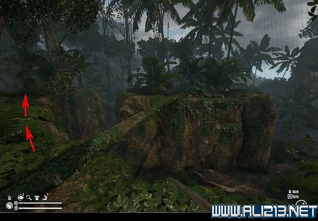 《綠色地獄》新手入門教學圖文詳解 全關卡玩法技巧詳解【完結】 《綠色地獄》新手入門教學圖文詳解 全關卡玩法技巧詳解【完結】