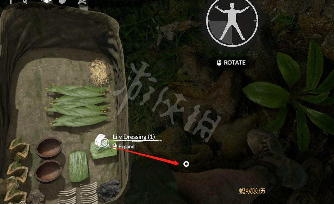 《綠色地獄》正式版新手怎麽操作 遊戲疾病治療方法介紹 《綠色地獄》正式版新手怎麽操作 遊戲疾病治療方法介紹