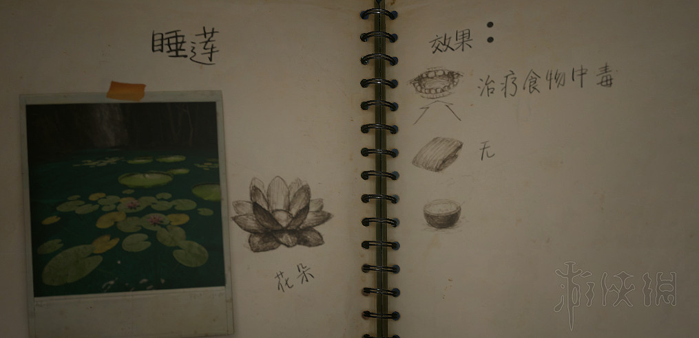 《綠色地獄》陷阱怎麽製作?工具配方及淨水採集等玩法技巧詳解 《綠色地獄》陷阱怎麽製作?工具配方及淨水採集等玩法技巧詳解