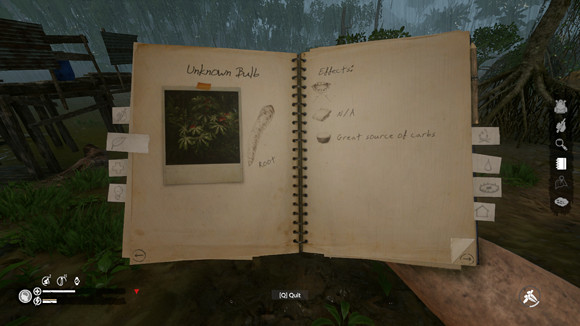 《綠色地獄》烹飪效果一覽 什麽食物可以烹飪? 《綠色地獄》烹飪效果一覽 什麽食物可以烹飪?