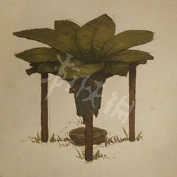 《綠色地獄》怎麽弄水 淨水方法介紹