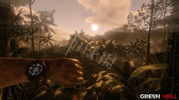 《綠色地獄》劇情分析 綠色地獄遊戲劇情講的是什麽? 《綠色地獄》劇情分析 綠色地獄遊戲劇情講的是什麽?