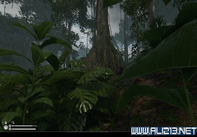 《綠色地獄》新手入門教學圖文詳解 全關卡玩法技巧詳解【完結】 《綠色地獄》新手入門教學圖文詳解 全關卡玩法技巧詳解【完結】