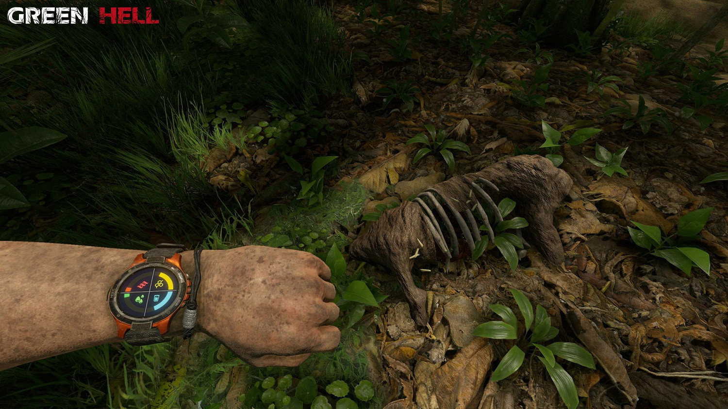 《綠色地獄》正式版展示影片 正式版畫面怎麽樣? 《綠色地獄》正式版展示影片 正式版畫面怎麽樣?