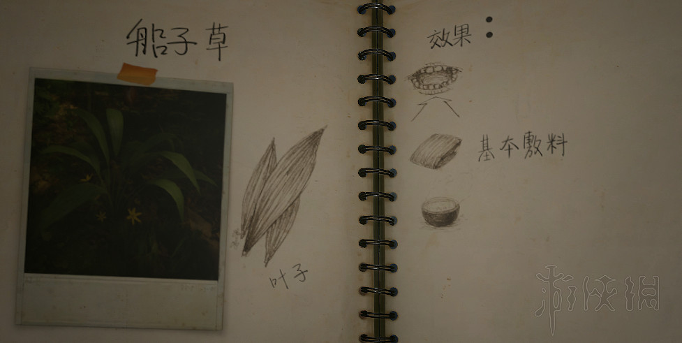 《綠色地獄》陷阱怎麽製作?工具配方及淨水採集等玩法技巧詳解 《綠色地獄》陷阱怎麽製作?工具配方及淨水採集等玩法技巧詳解