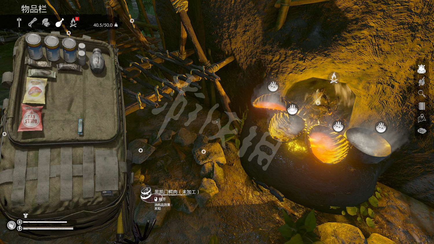 《綠色地獄》怎麽做飯 遊戲做飯技巧分享 《綠色地獄》怎麽做飯 遊戲做飯技巧分享