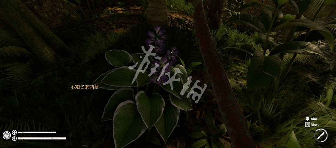 《綠色地獄》正式版新手怎麽玩 遊戲新手教學生火操作介紹 《綠色地獄》正式版新手怎麽玩 遊戲新手教學生火操作介紹