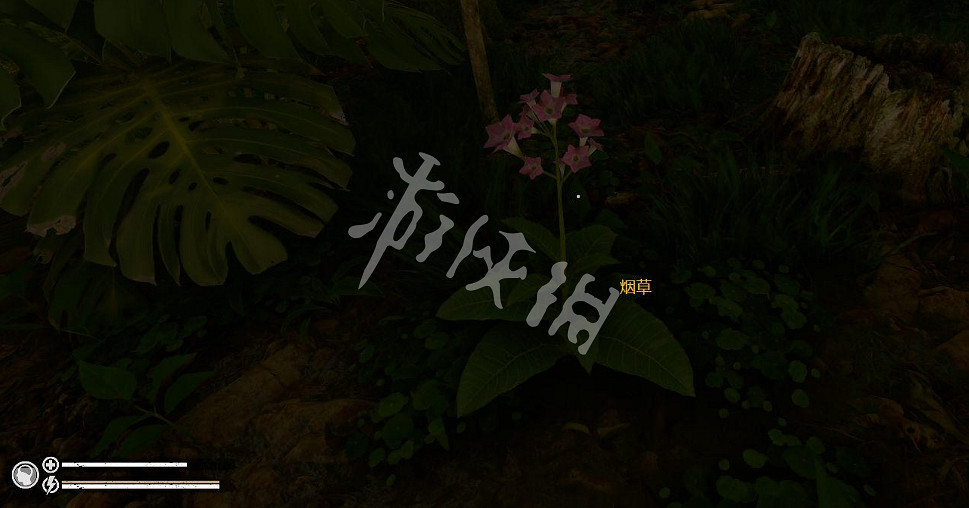 《綠色地獄》正式版新手怎麽玩 遊戲新手教學生火操作介紹 《綠色地獄》正式版新手怎麽玩 遊戲新手教學生火操作介紹