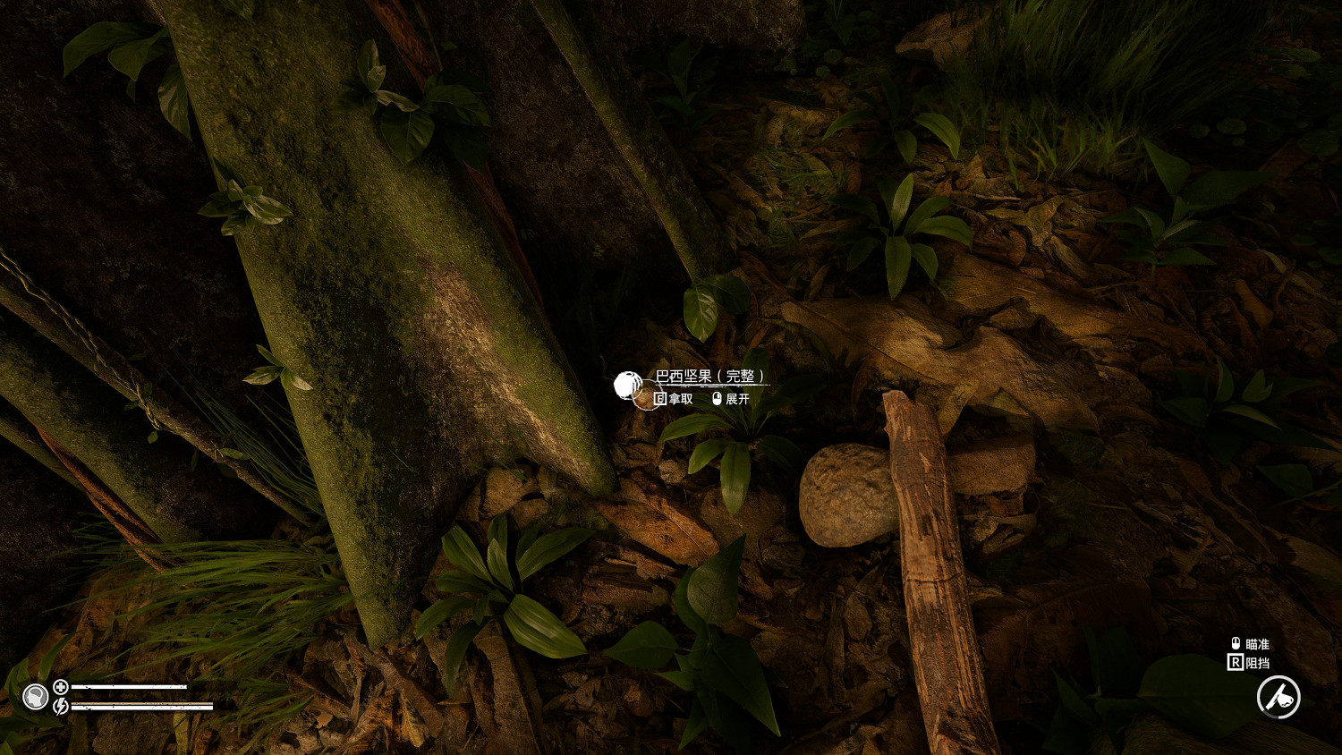 《綠色地獄》堅果種子怎麽獲得 堅果種子獲得方法介紹 《綠色地獄》堅果種子怎麽獲得 堅果種子獲得方法介紹