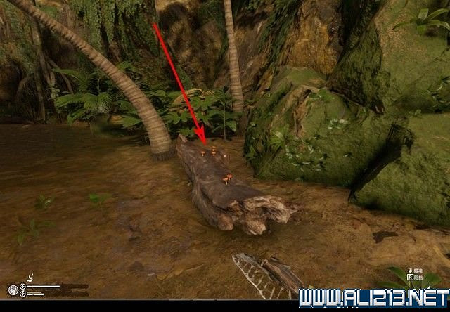 《綠色地獄》新手入門教學圖文詳解 全關卡玩法技巧詳解【完結】 《綠色地獄》新手入門教學圖文詳解 全關卡玩法技巧詳解【完結】